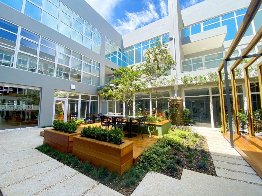 To Let Commercial Property for Rent in Fairview Industrial Eastern Cape